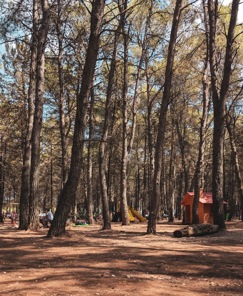 Bosco Chinunno, Parco per Famiglie, Cassano Murge